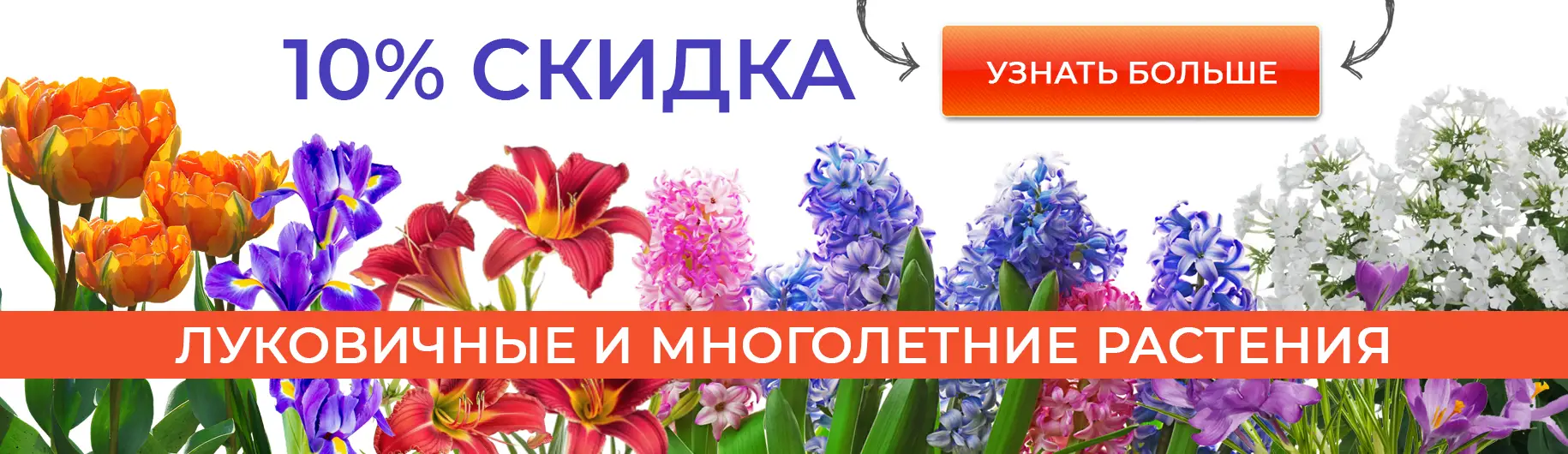 Баннер: Скидка на луковичные и многолетники